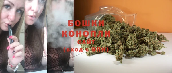 сатива Липки