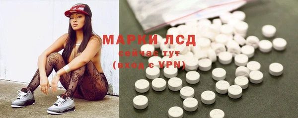 сатива Липки