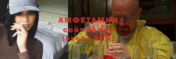 сатива Липки