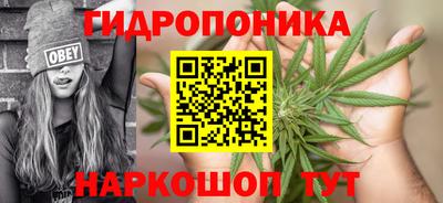 прущие крисы Балаково