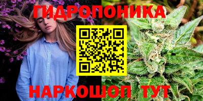 молекула духа Дубна
