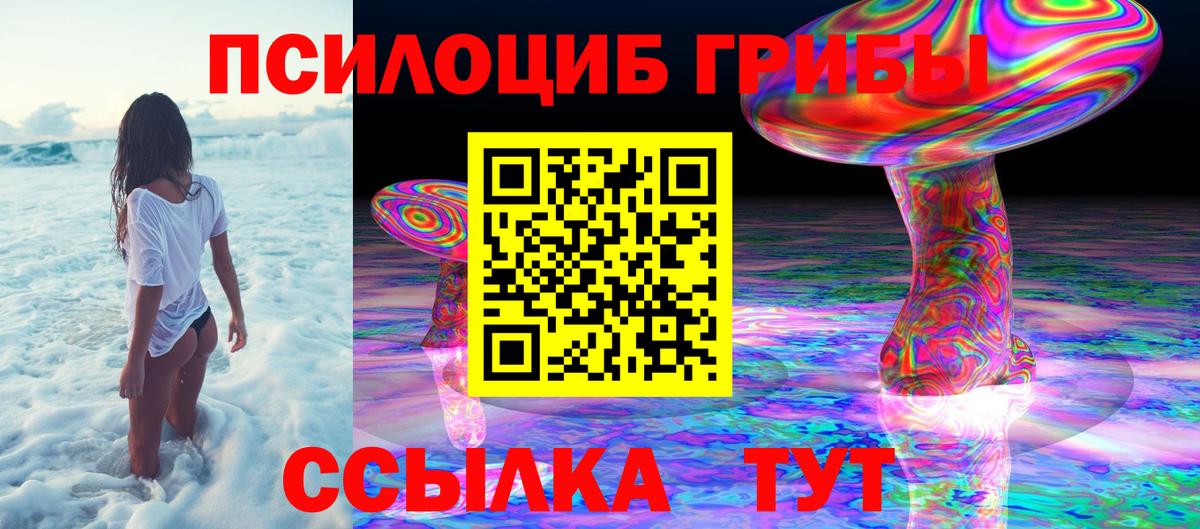 Нижний Новгород  Псилоцибиновые грибы Psilocybe  Вход с VPN  Псилоцибиновые грибы Cubensis 